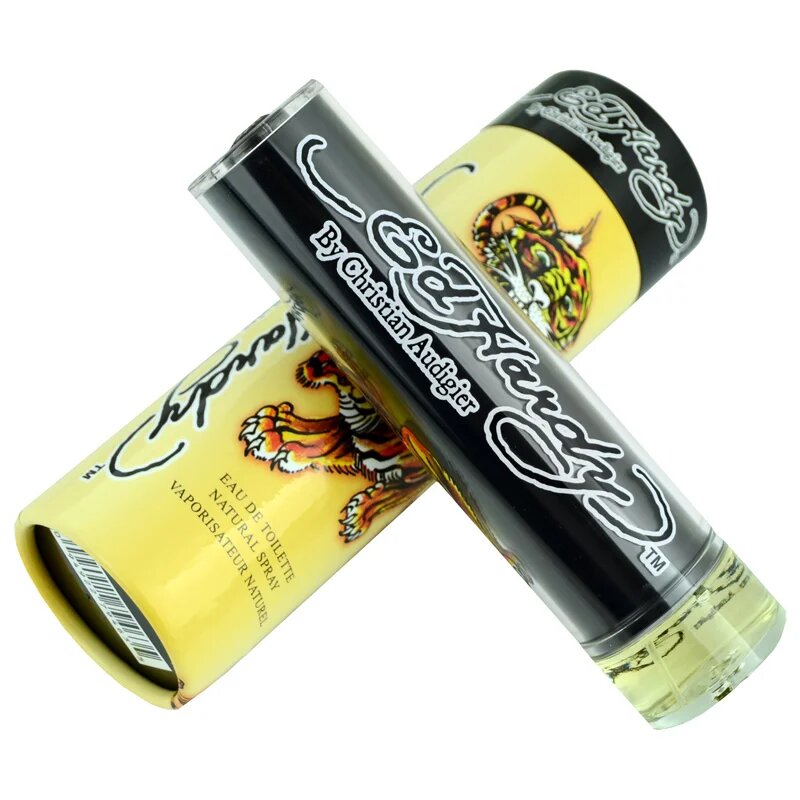 Christian Audigier Ed Hardy For Men toaletna voda za moške 100 ml