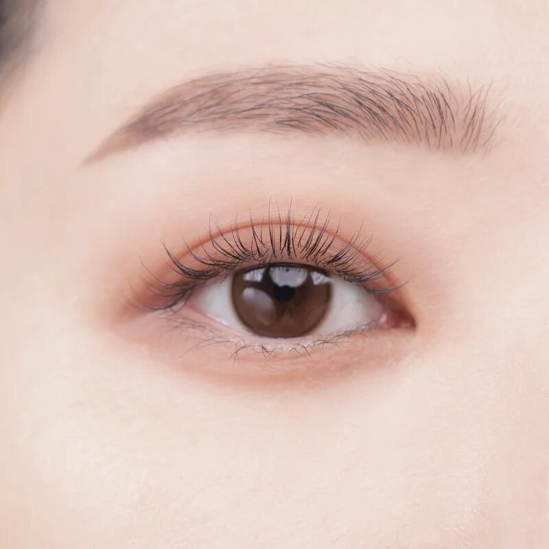 Colorgram Tintin Dory Eyeshadow Palette paleta senčil za oči in osvetljevalcev odtenek 02 Chestnut Dory 4 g