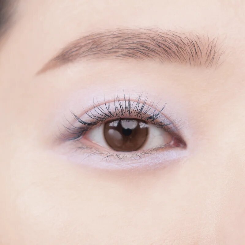 Colorgram Tintin Dory Eyeshadow Palette paleta senčil za oči in osvetljevalcev odtenek 02 Chestnut Dory 4 g