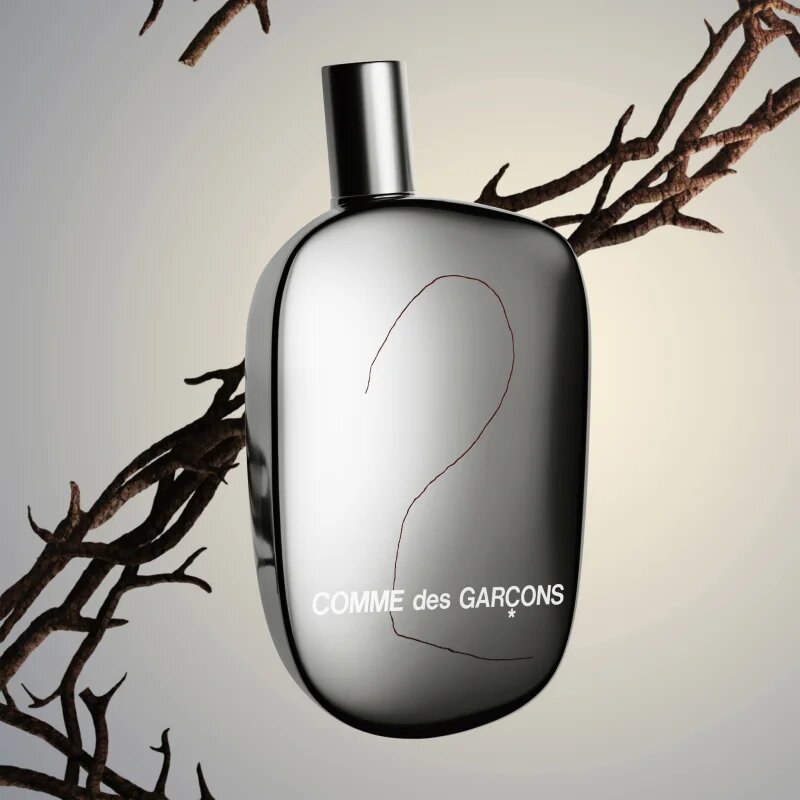 Comme des Garçons 2 parfumska voda uniseks 100 ml