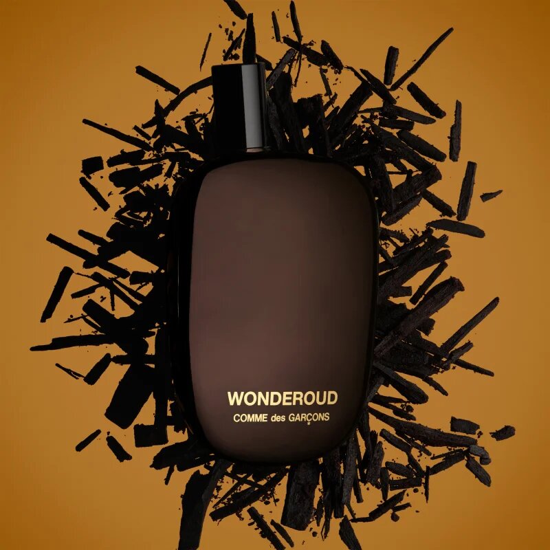 Comme des Garçons Wonderoud parfumska voda uniseks 100 ml