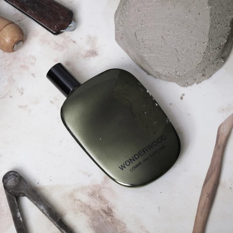 Comme des Garçons Wonderwood parfumska voda za moške 100 ml