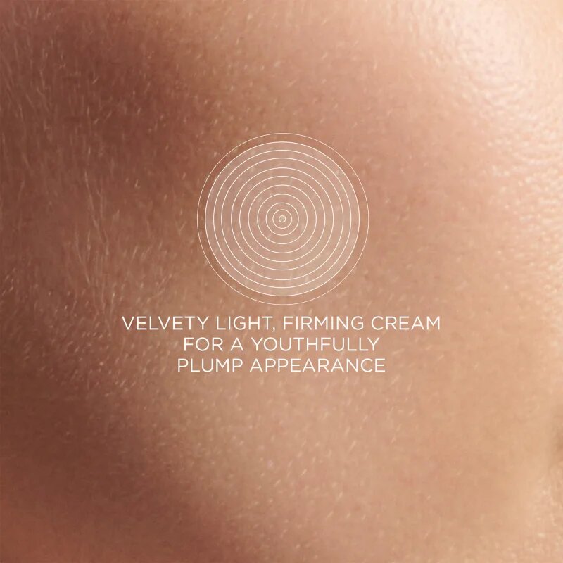 Darphin Prédermine Anti-Wrinkle Cream krema proti gubam za posvetlitev in zgladitev kože 50 ml