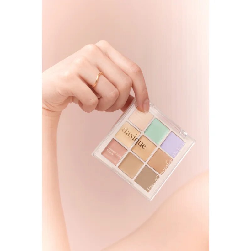 Dasique Pro Concealer Palette paleta korektorjev za kožo z nepravilnostmi odtenek 01 Cover 8 g