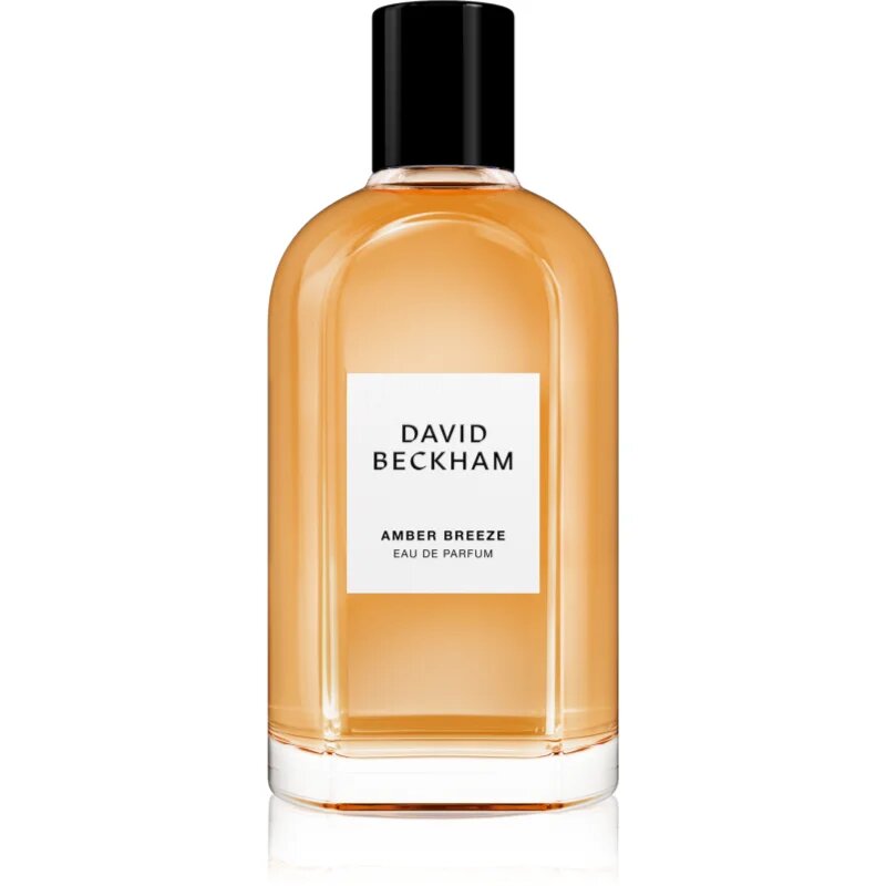 David Beckham Amber Breeze parfumska voda za moške 100 ml