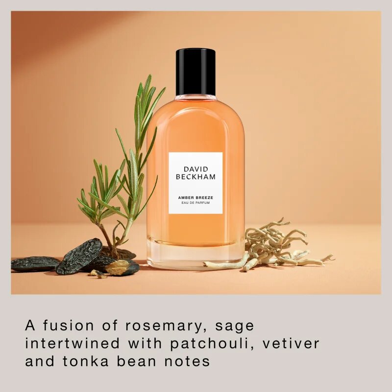 David Beckham Amber Breeze parfumska voda za moške 100 ml