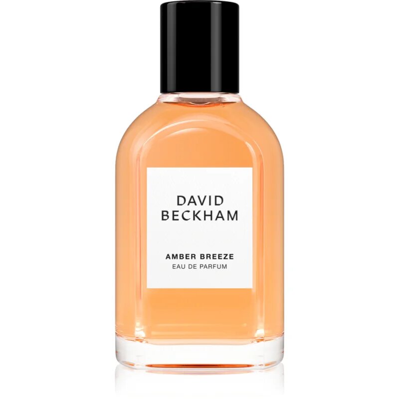 David Beckham Amber Breeze parfumska voda za moške 50 ml