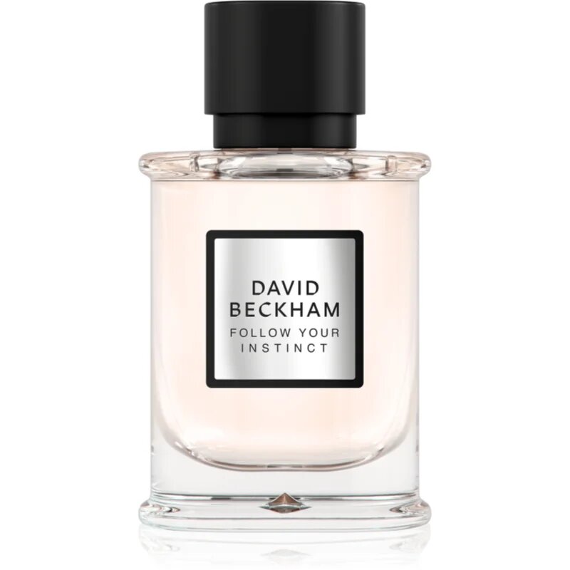 David Beckham Follow Your Instinct parfumska voda za moške 50 ml