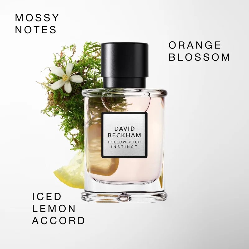 David Beckham Follow Your Instinct parfumska voda za moške 50 ml