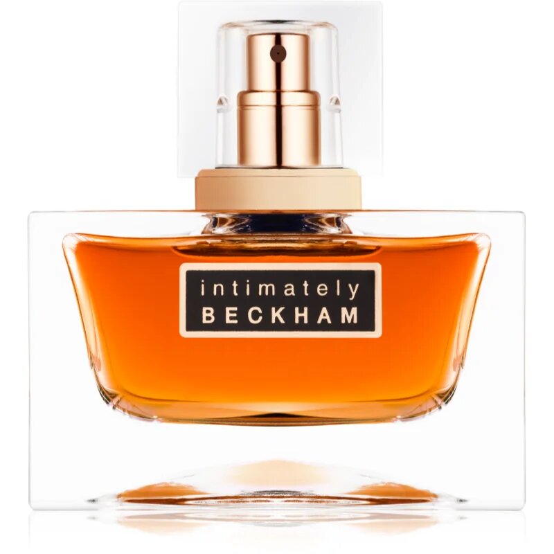 David Beckham Intimately Men toaletna voda za moške 75 ml