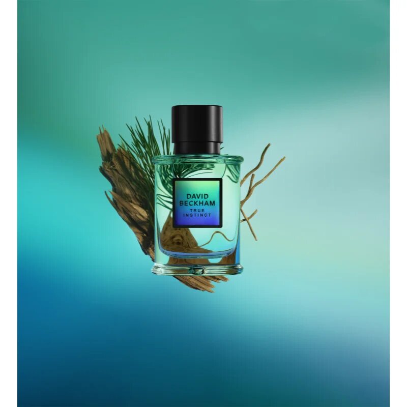 David Beckham True Instinct parfumska voda za moške 50 ml