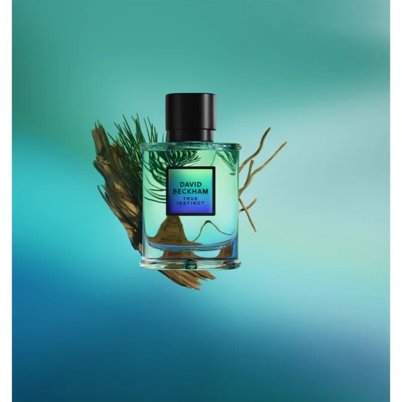 David Beckham True Instinct parfumska voda za moške 75 ml