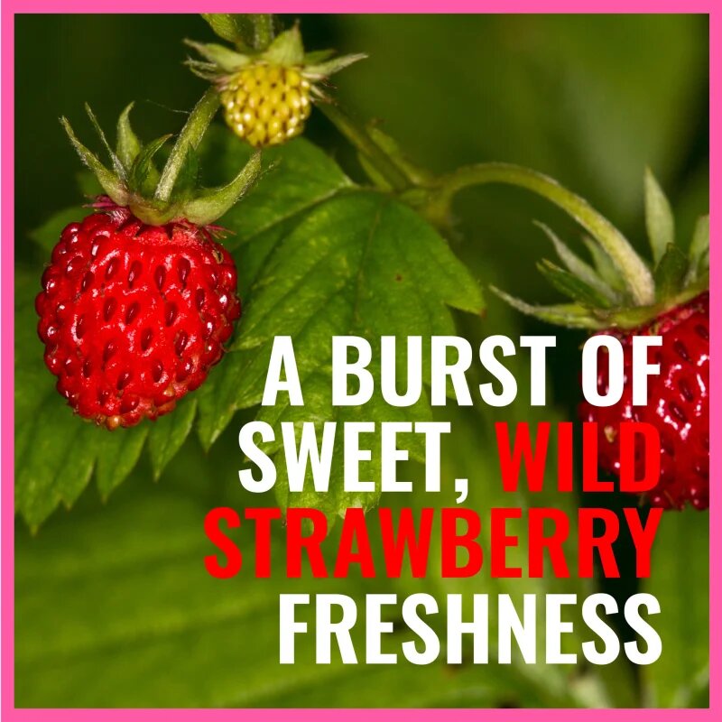 Dermacol Aroma Moment Wild Strawberries pena za kopel potovalno pakiranje 2x15 ml
