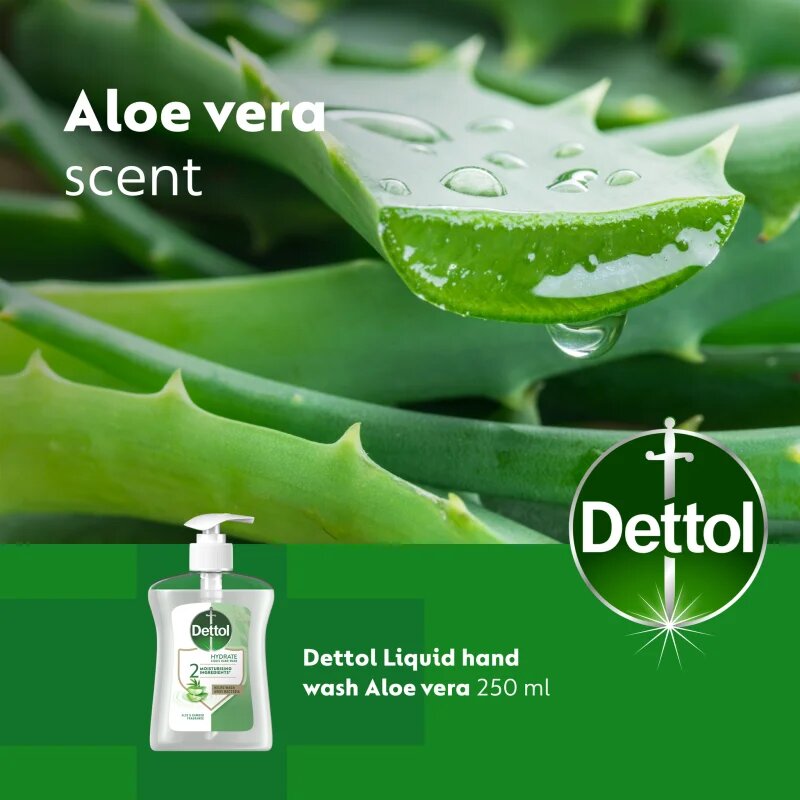 Dettol Soft on Skin Aloe Vera tekoče milo za roke 250 ml