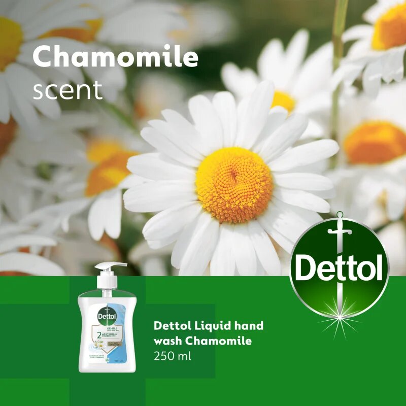 Dettol Soft on Skin Gentle Chamomile tekoče milo za roke 250 ml