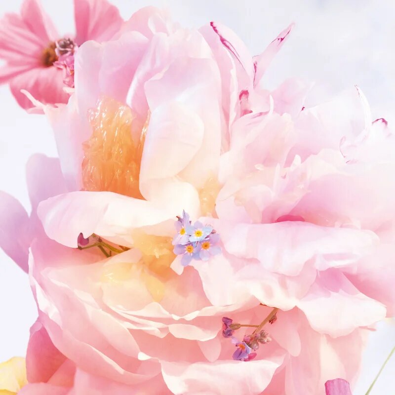 DIOR Miss Blooming Bouquet Roller-Pearl toaletna voda roll-on za ženske 20 ml