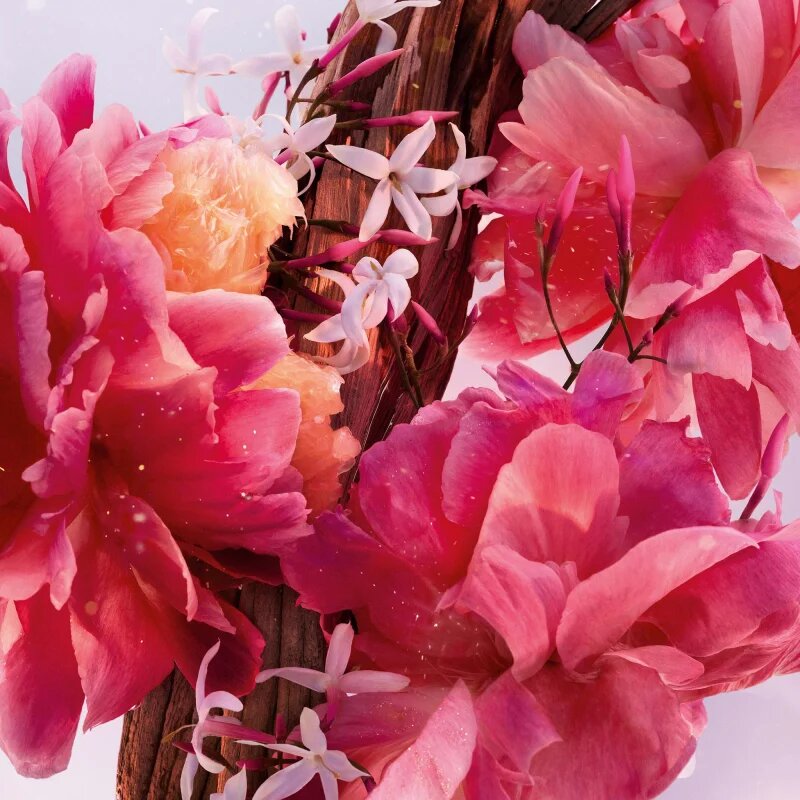 DIOR Miss Roller-Pearl parfum roll-on za ženske 20 ml