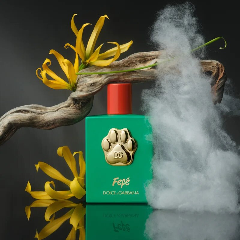 Dolce&Gabbana Fefé fragrance mist for dogs parfumska meglica uniseks 100 ml