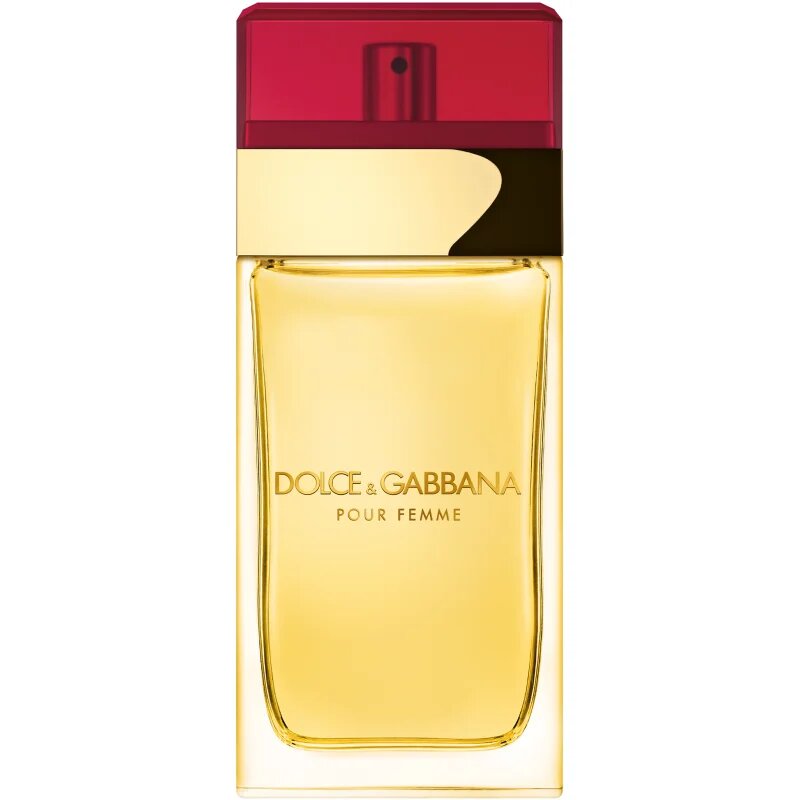 Dolce&Gabbana Pour Femme toaletna voda za ženske 100 ml