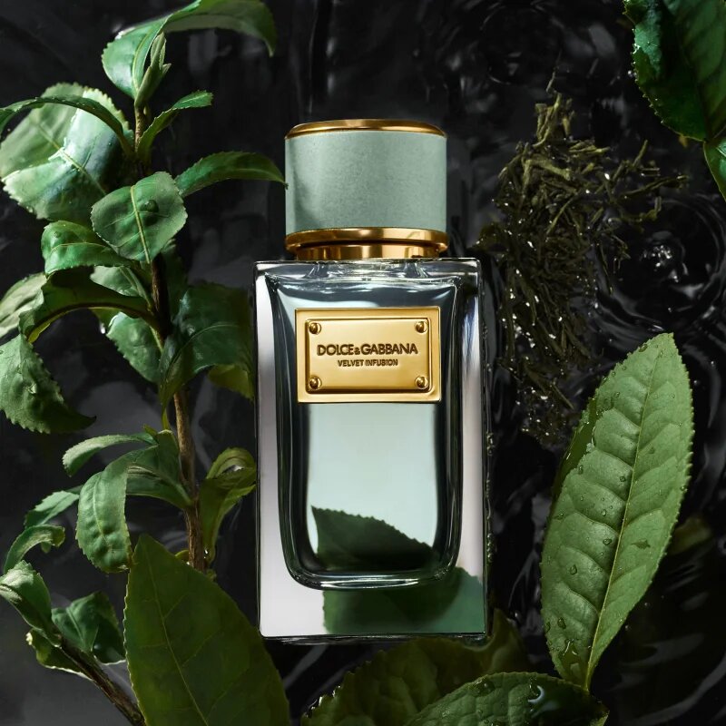 Dolce&Gabbana Velvet Infusion Eau de Parfum parfumska voda uniseks 100 ml