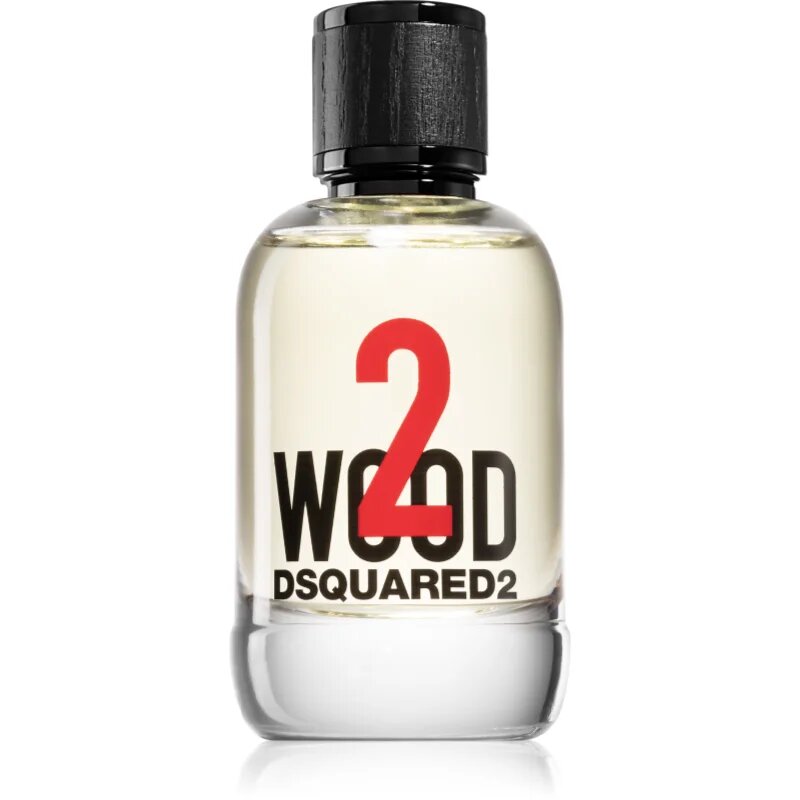 Dsquared2 2 wood toaletna voda za moške 100 ml