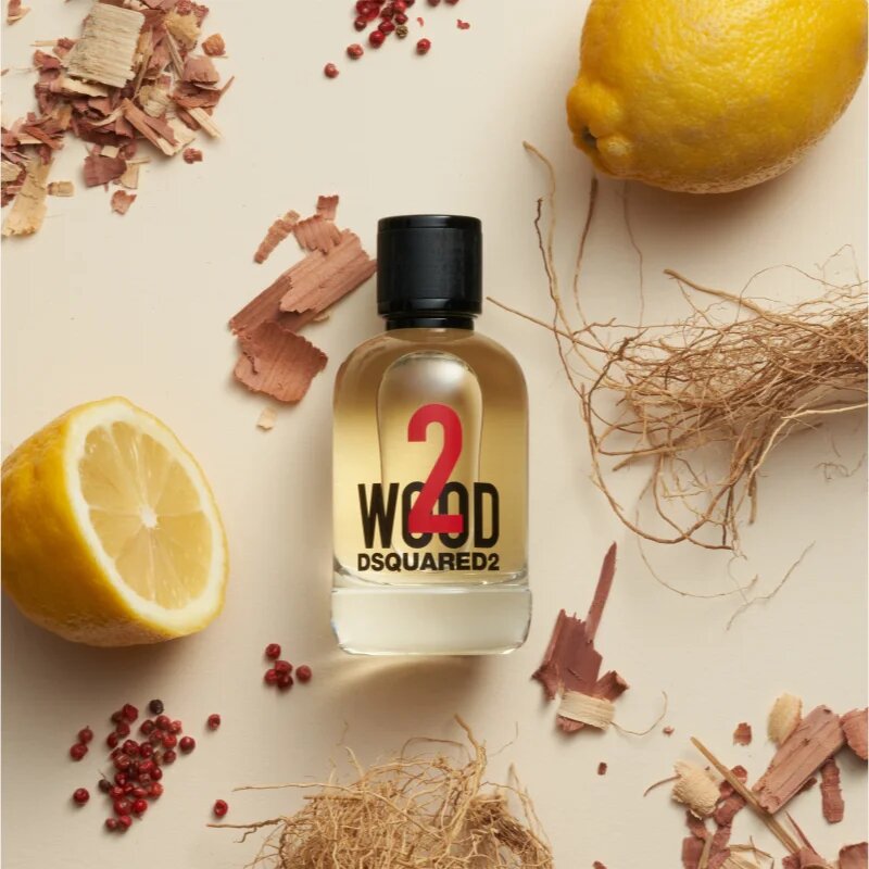 Dsquared2 2 wood toaletna voda za moške 50 ml