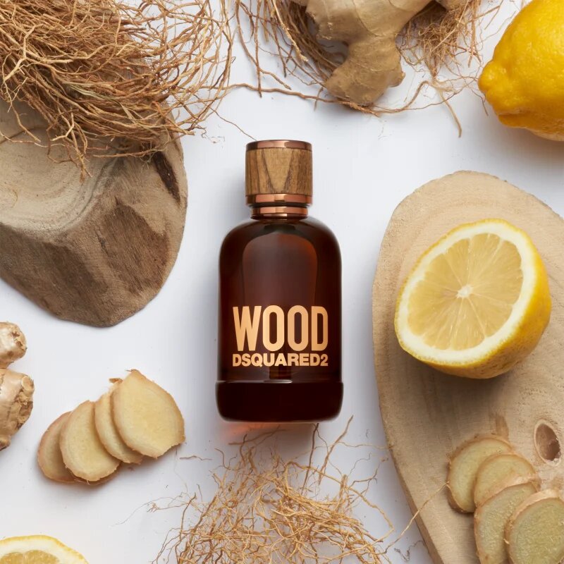 Dsquared2 Wood Pour Homme toaletna voda za moške 100 ml