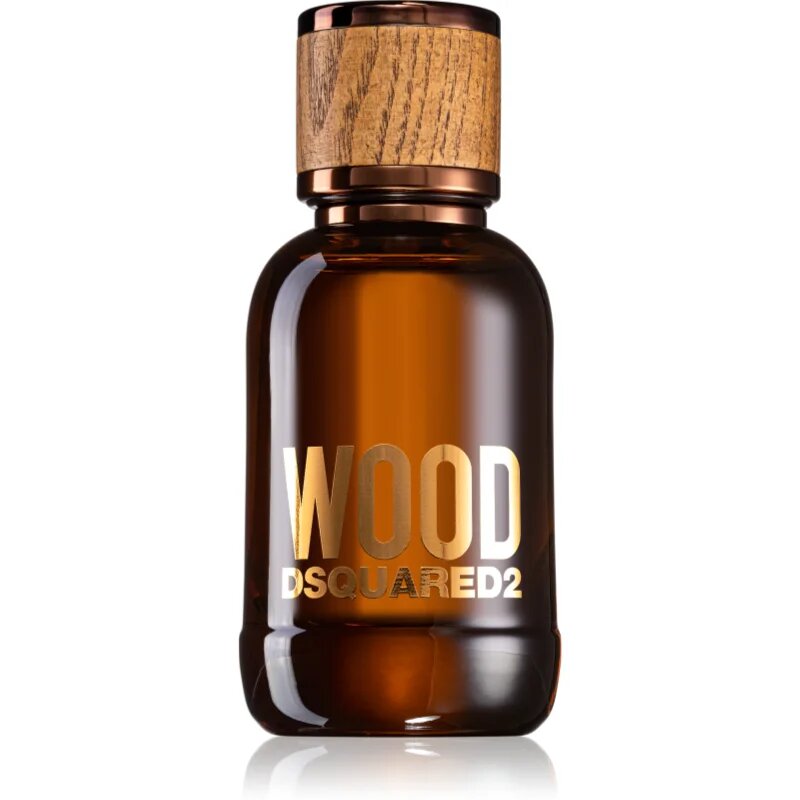 Dsquared2 Wood Pour Homme toaletna voda za moške 50 ml