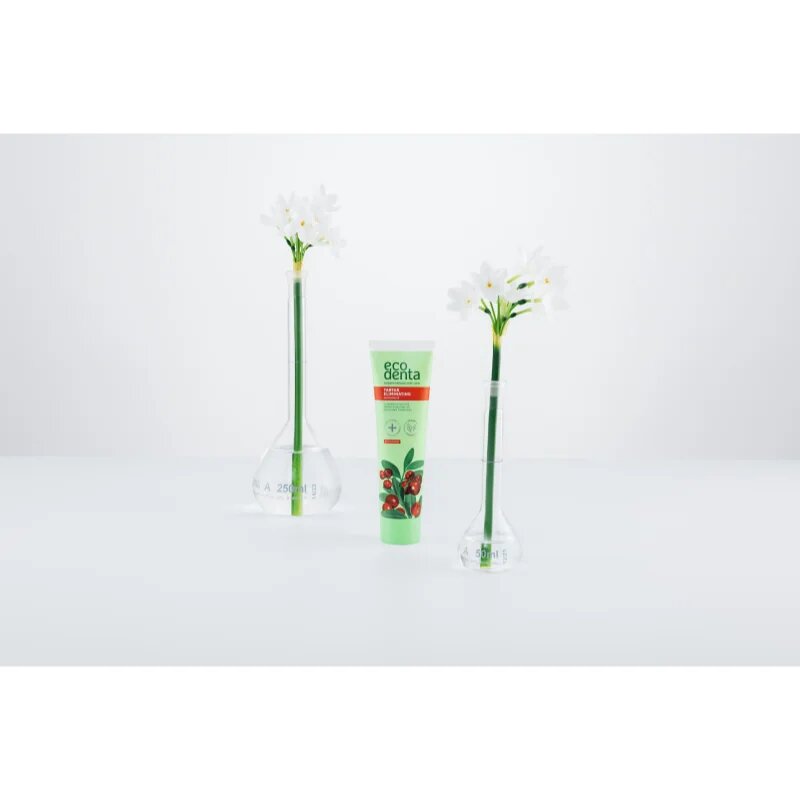 Ecodenta Green Tartar Eliminating osvežujoča zobna pasta proti zobnemu kamnu s fluoridom okus Cranberry 100 ml