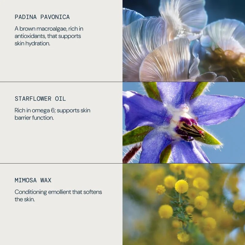 Elemis Pro-Collagen Marine Oil olje za obraz proti gubam 15 ml