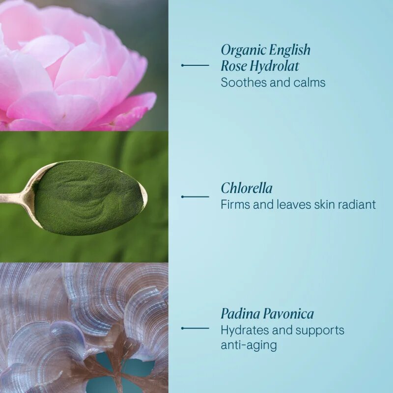 Elemis Pro-Collagen Rose Marine Cream vlažilna gel krema za učvrstitev obraza 30 ml