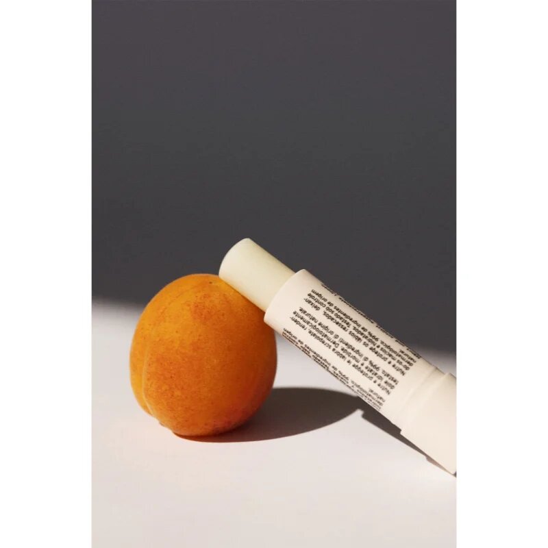 Embryolisse Stick Lèvres zaščitni balzam za ustnice z vlažilnim učinkom 4 g