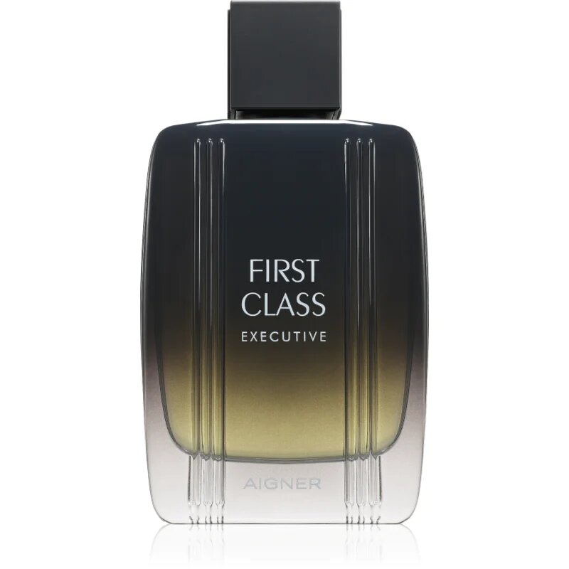 Etienne Aigner First Class Executive toaletna voda za moške 100 ml