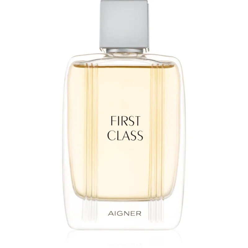 Etienne Aigner First Class toaletna voda za moške 100 ml