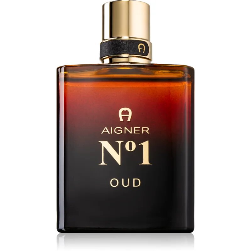 Etienne Aigner No. 1 Oud parfumska voda za moške 100 ml
