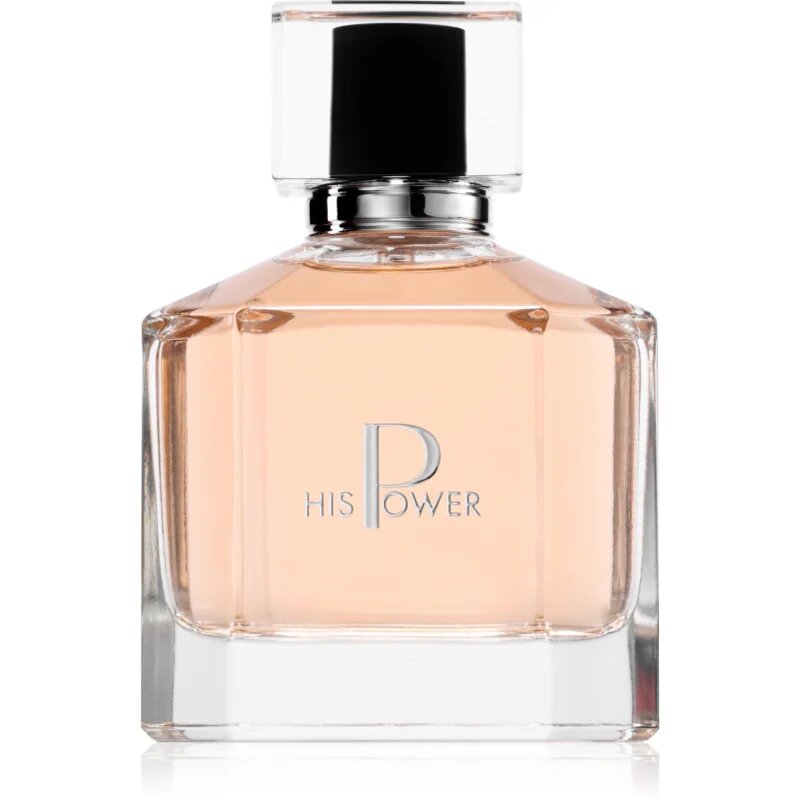 Farmasi His Power parfumska voda za moške 100 ml