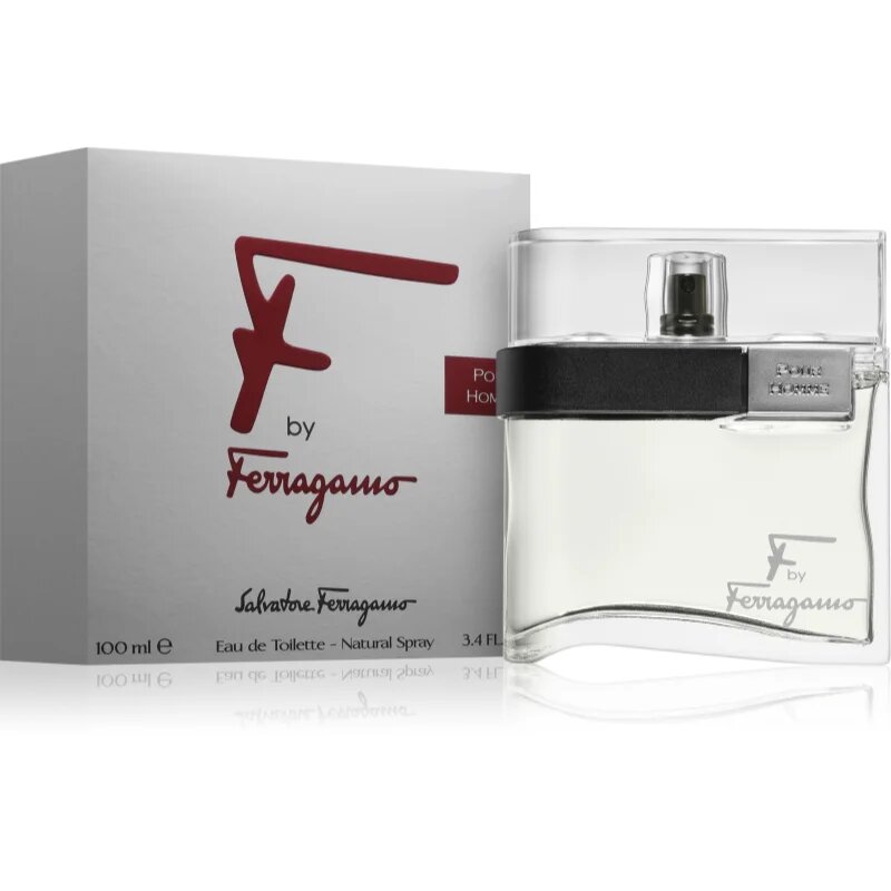 Ferragamo F by toaletna voda za moške 100 ml