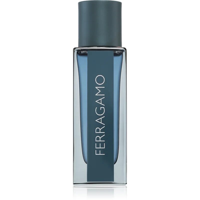 Ferragamo Intense Leather parfumska voda za moške 30 ml