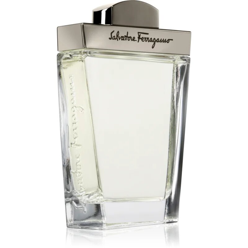 Ferragamo Pour Homme toaletna voda za moške 100 ml