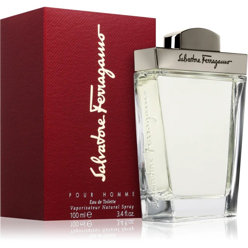 Ferragamo Pour Homme toaletna voda za moške 100 ml