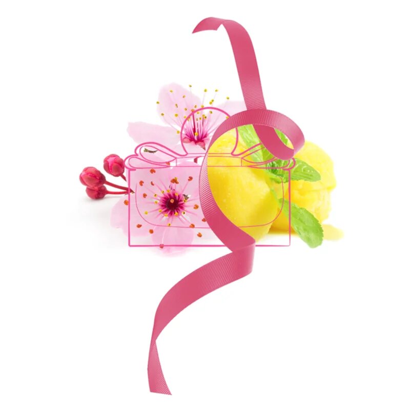 Ferragamo Signorina in Fiore toaletna voda za ženske 30 ml
