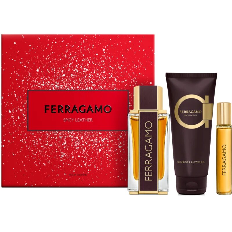 Ferragamo Spicy Leather darilni set za moške