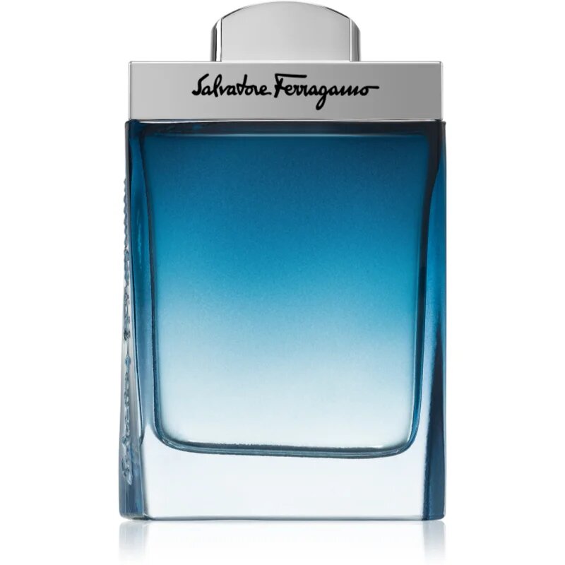 Ferragamo Subtil Pour Homme toaletna voda za moške 100 ml