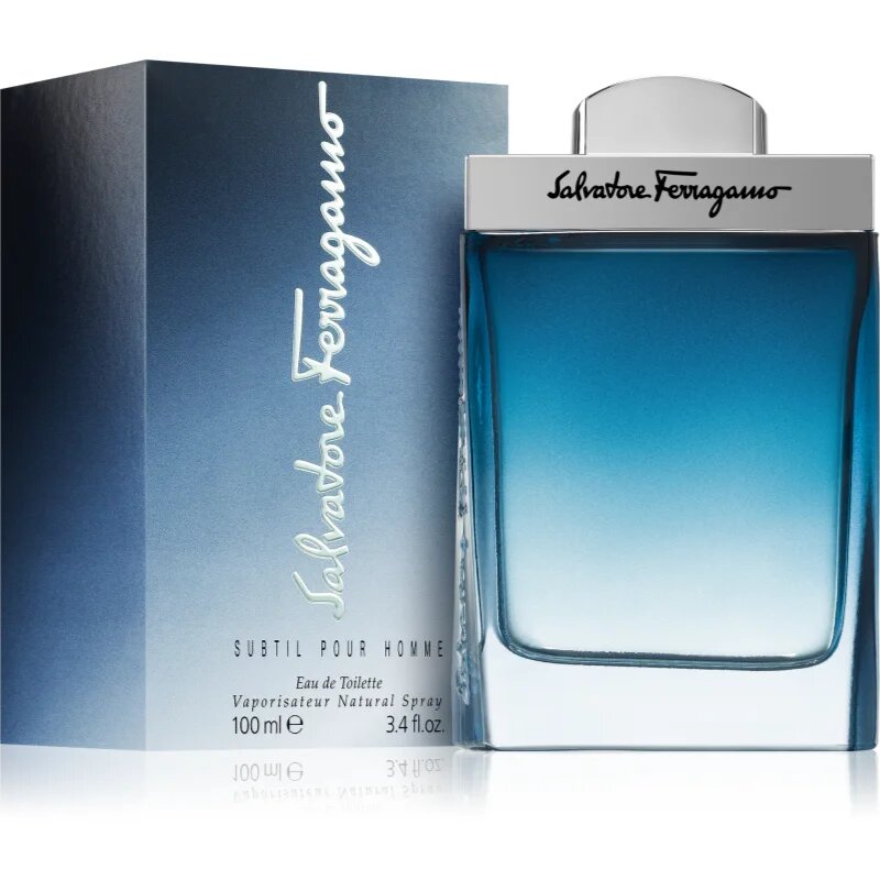 Ferragamo Subtil Pour Homme toaletna voda za moške 100 ml