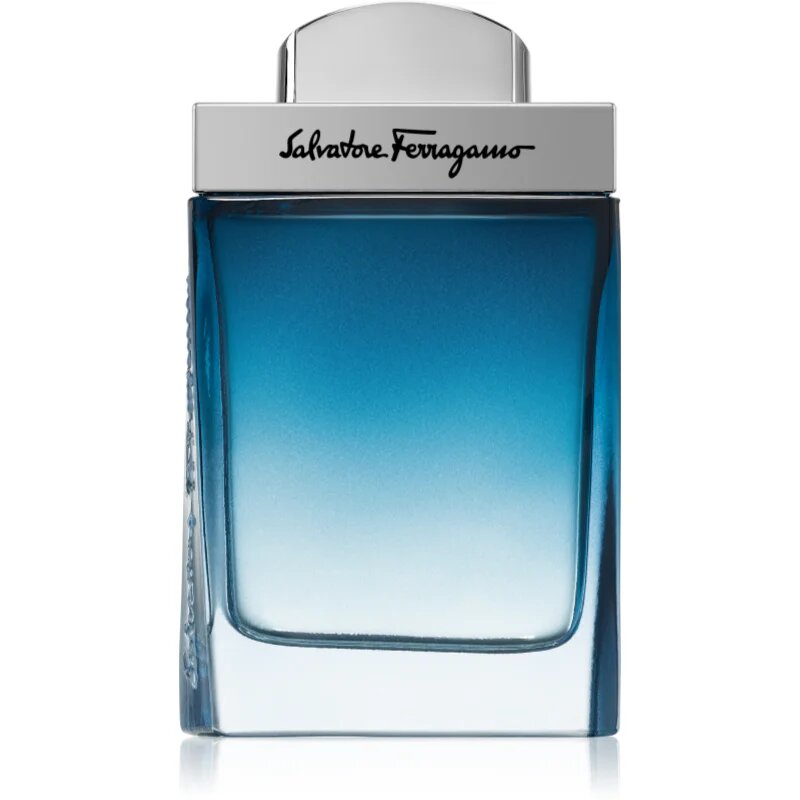 Ferragamo Subtil Pour Homme toaletna voda za moške 50 ml