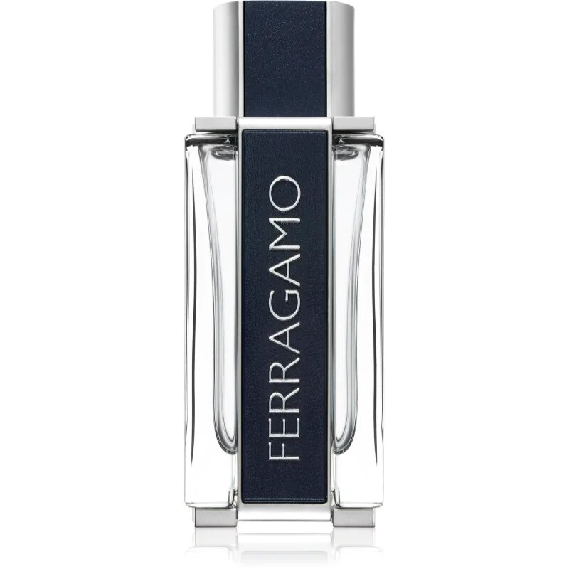 Ferragamo toaletna voda za moške 100 ml