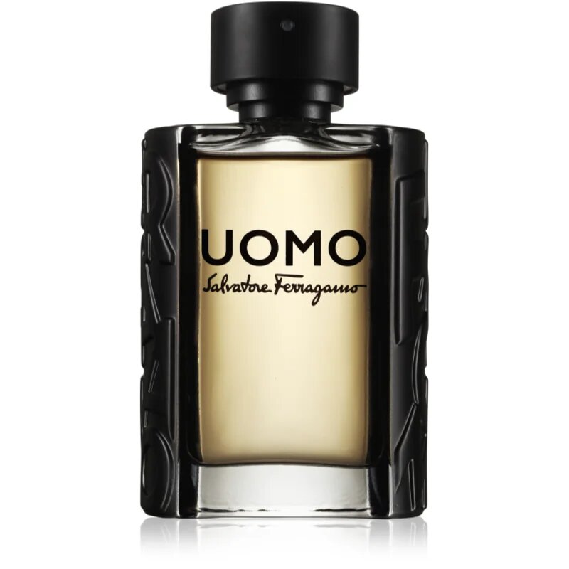 Ferragamo Uomo toaletna voda za moške 100 ml