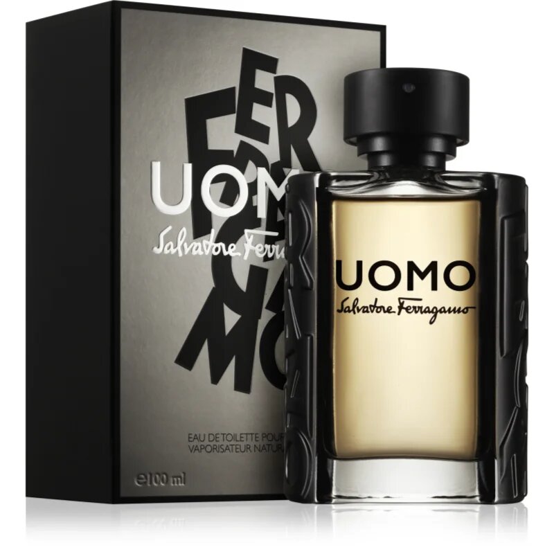 Ferragamo Uomo toaletna voda za moške 100 ml