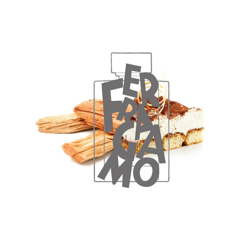 Ferragamo Uomo toaletna voda za moške 100 ml