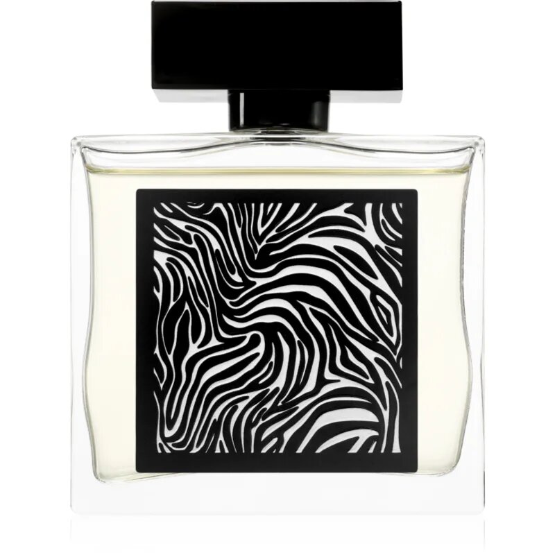 Fragrance World Encrypt parfumska voda za moške 85 ml